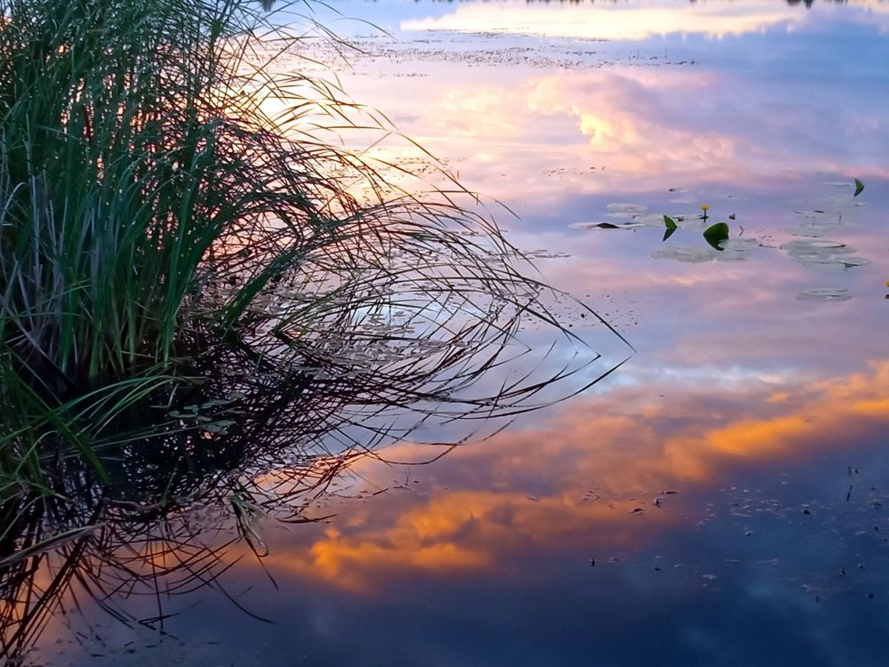 Photograph by Сергей Янкин