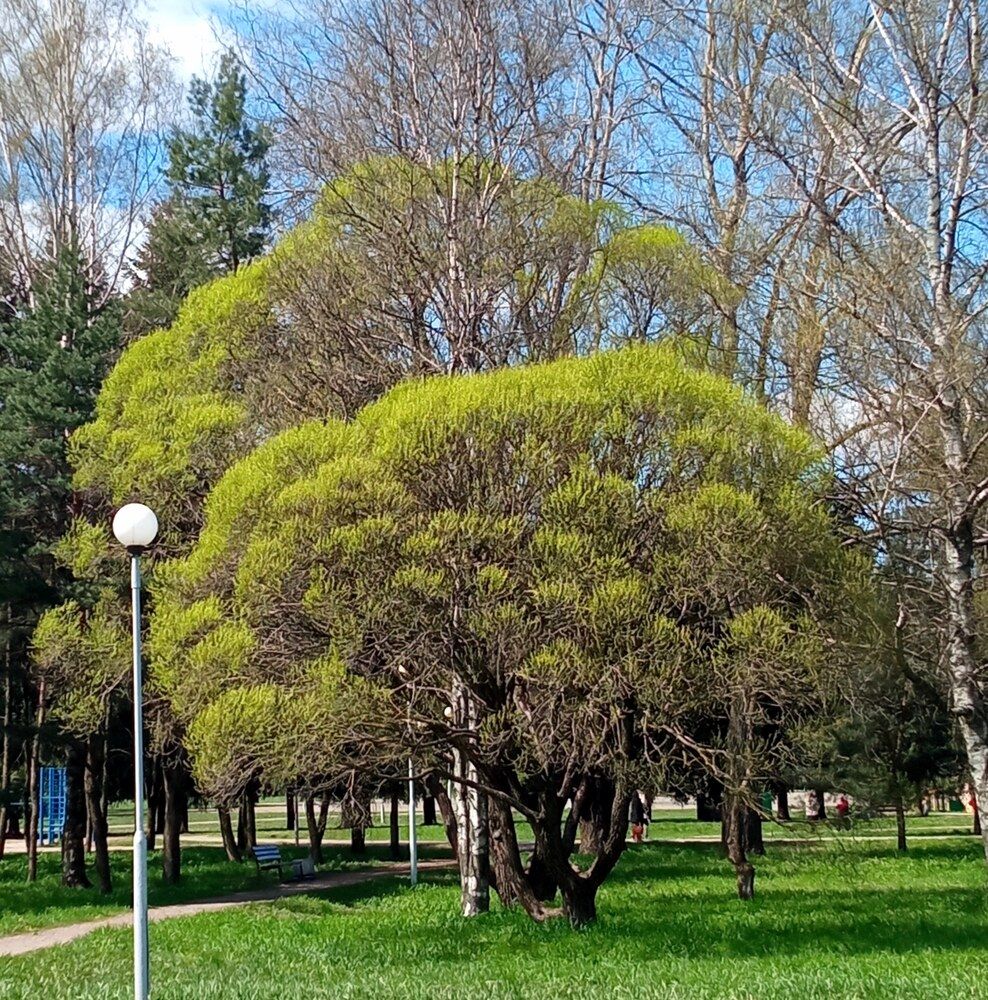 Photograph by Сергей Янкин