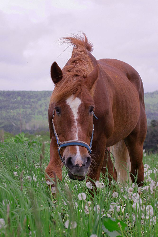 Photograph by Наталья Островцева