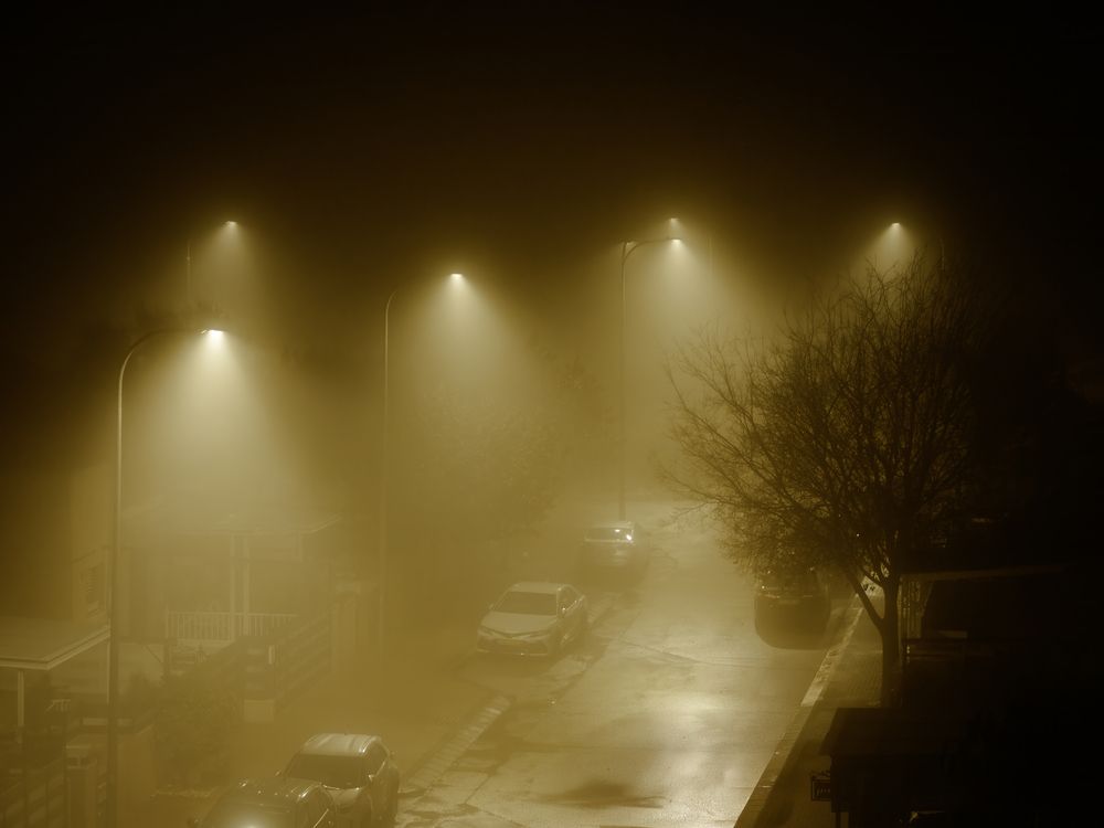 Photograph by Semion Ribinik