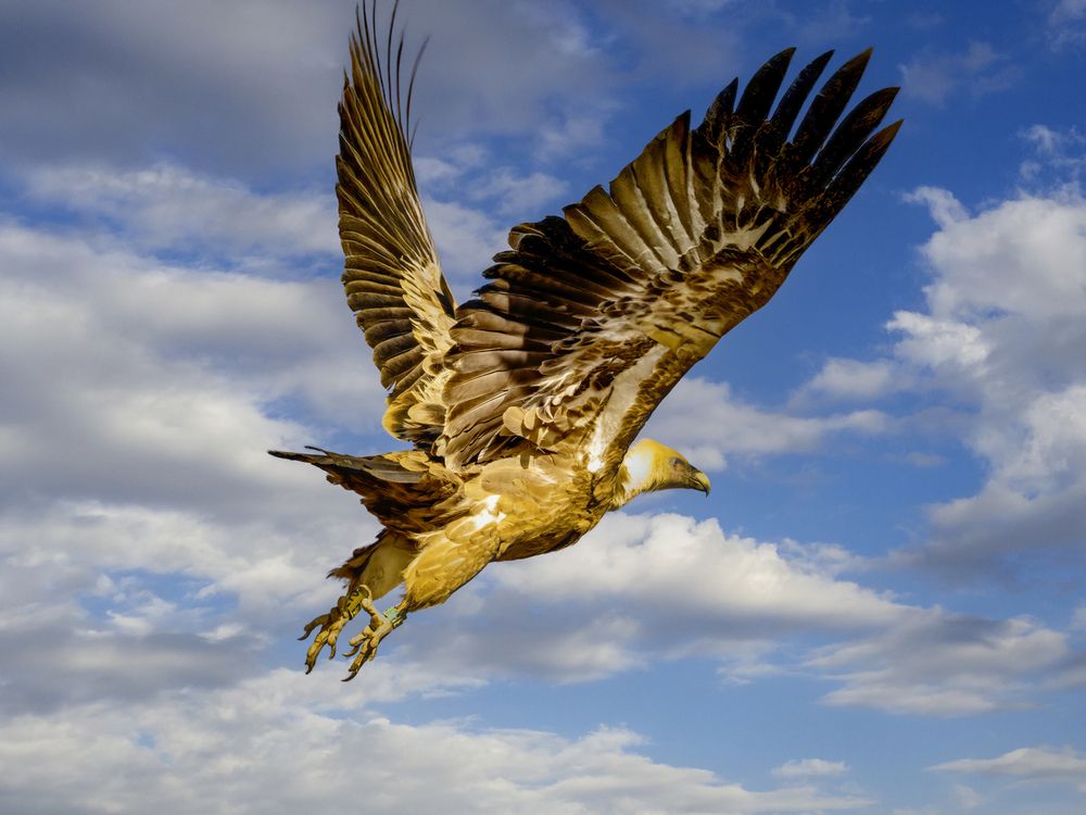 Photograph by Semion Ribinik