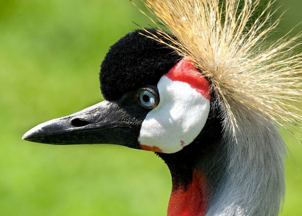 Photograph by Лариса Рулёва