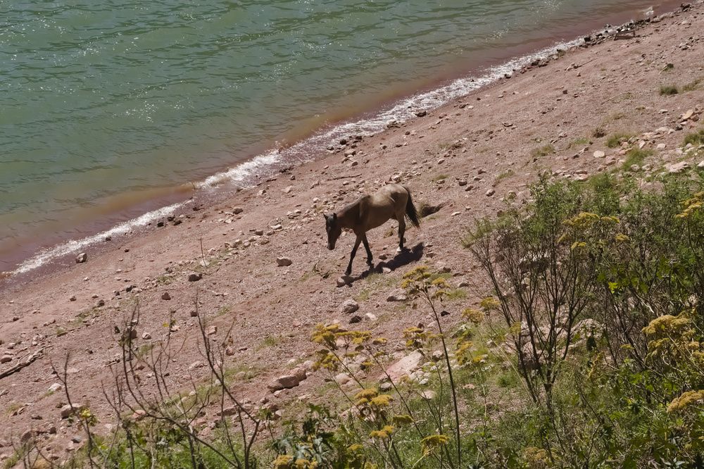Фотография автора Guillermo Topp