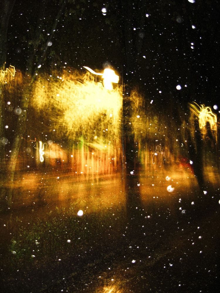 Photo #13105521