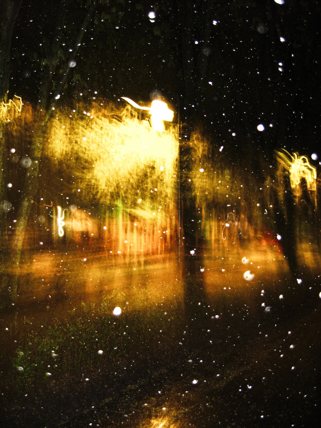 Photo #13105521