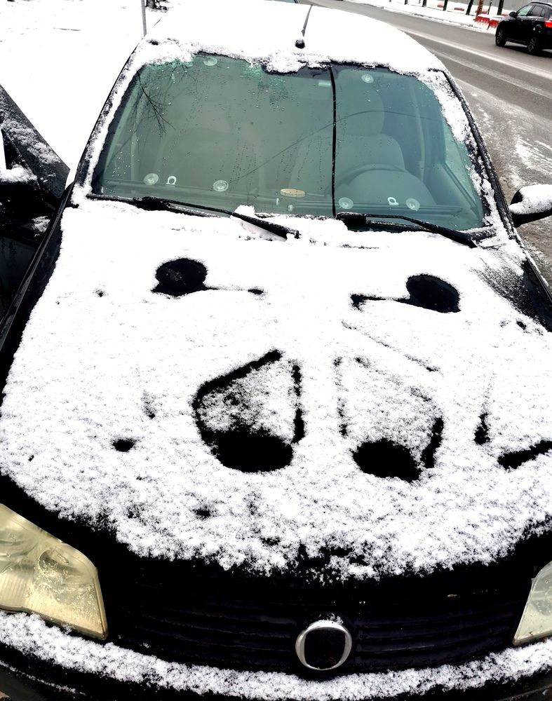 Фотография автора Антонина Добровольская