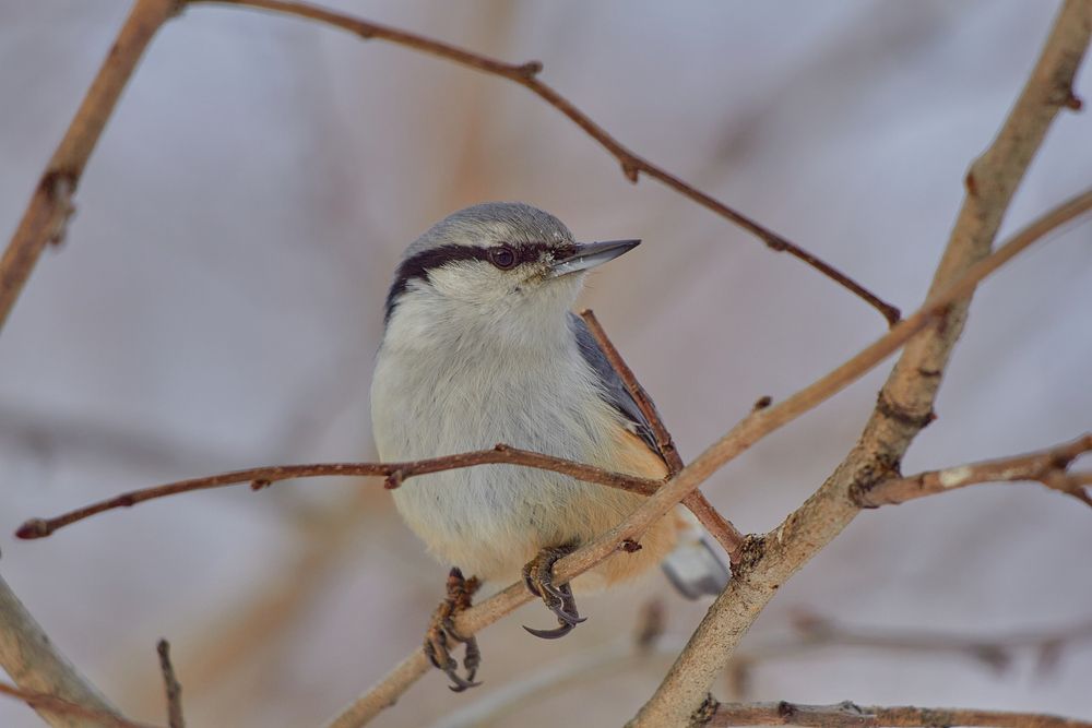 Photograph by Наталия Мащенко