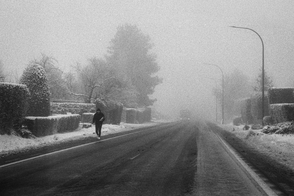 Man in the fog