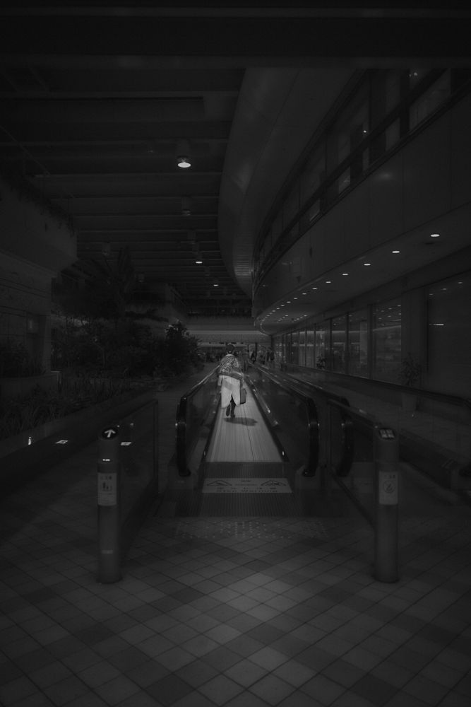 Photograph by Kaisyakuji Yushi