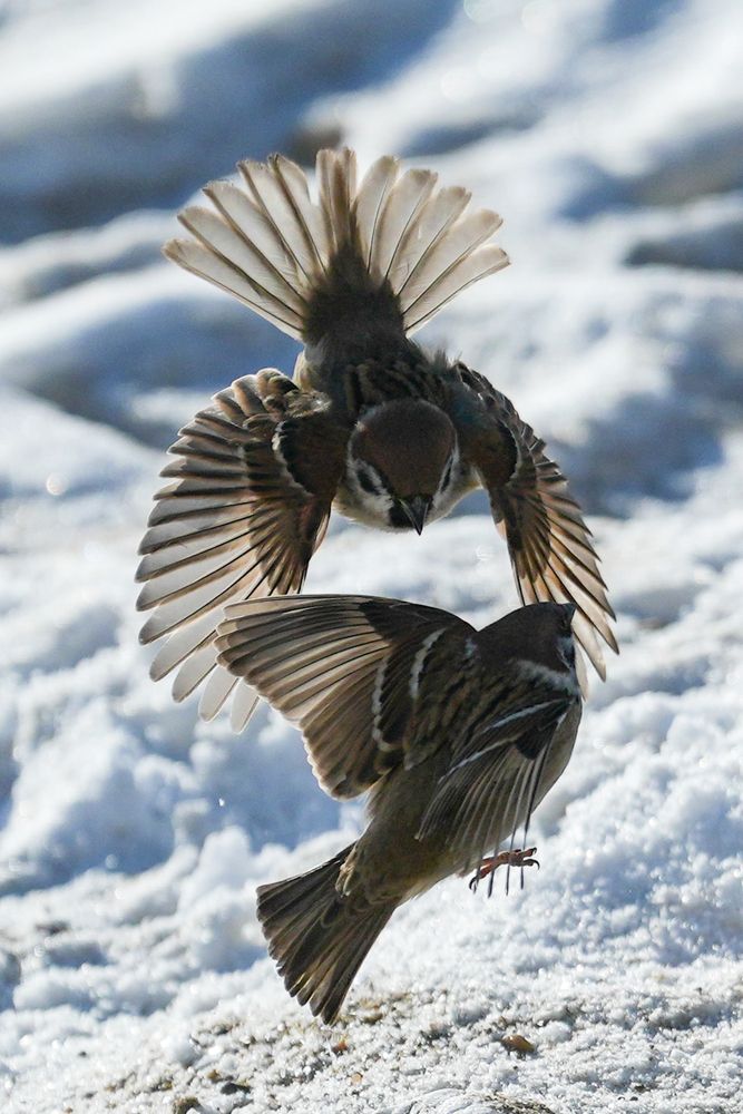 Фотография автора Сергей Флетчер