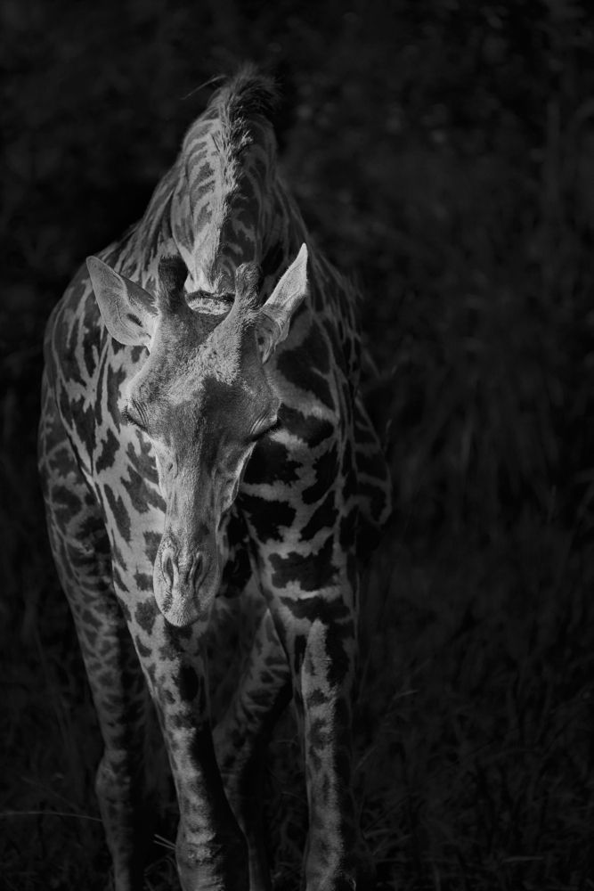 Фотография автора Kaisyakuji Yushi