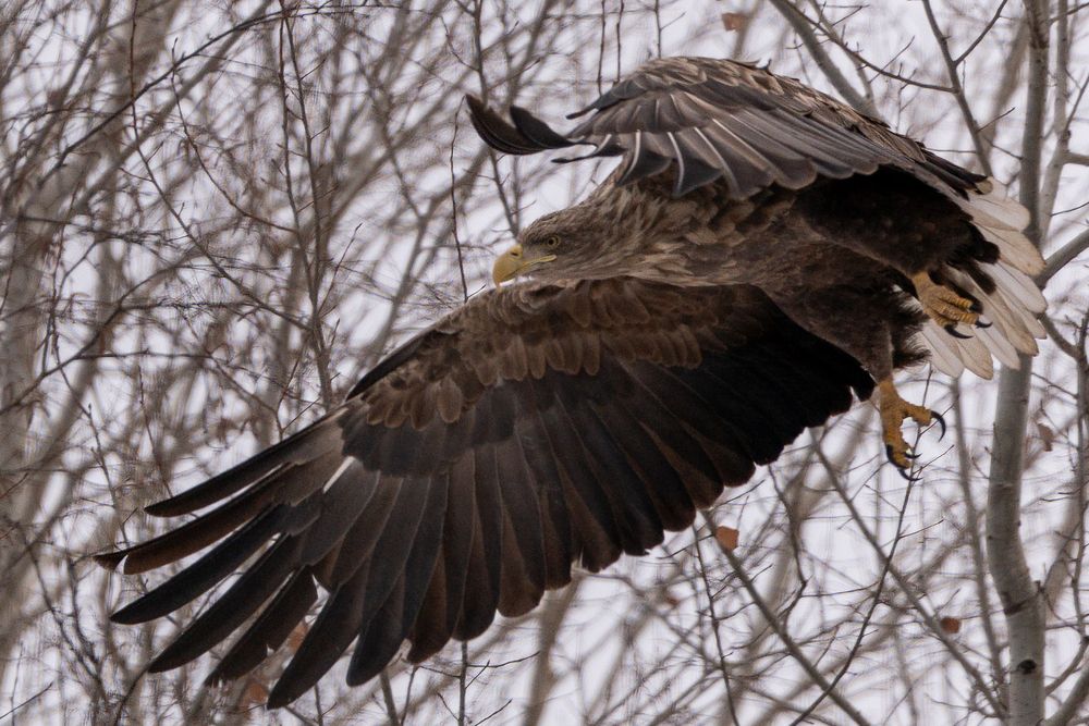 Фотография автора Сергей Флетчер