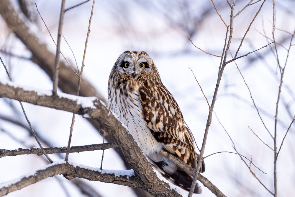 Фотография автора Сергей Флетчер