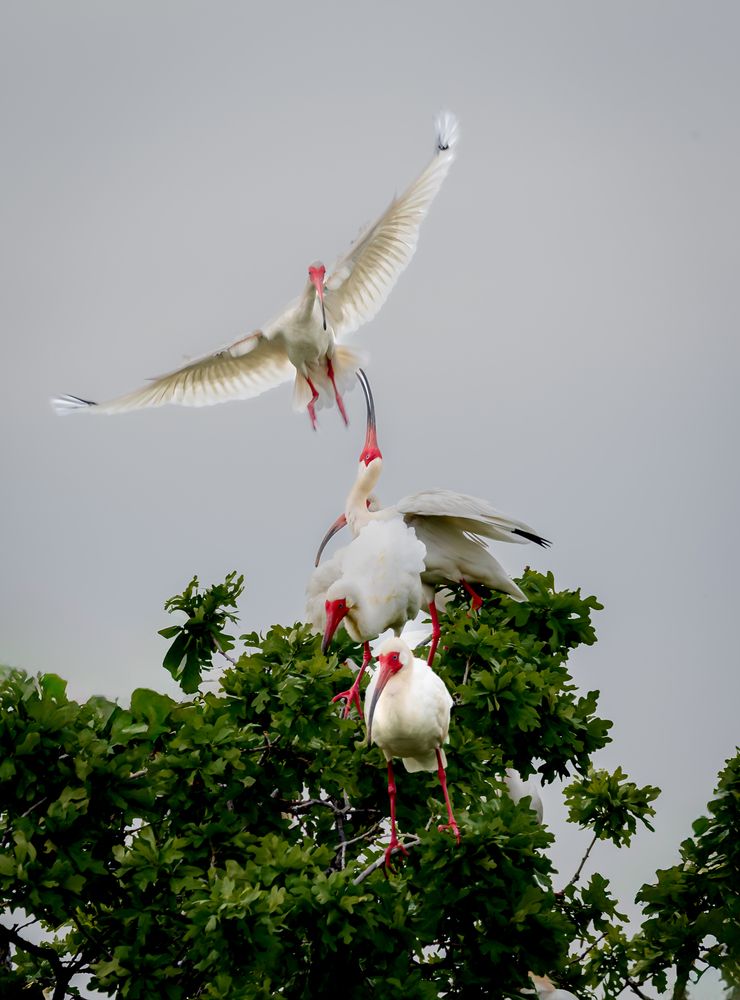 Photograph by Christabel Way