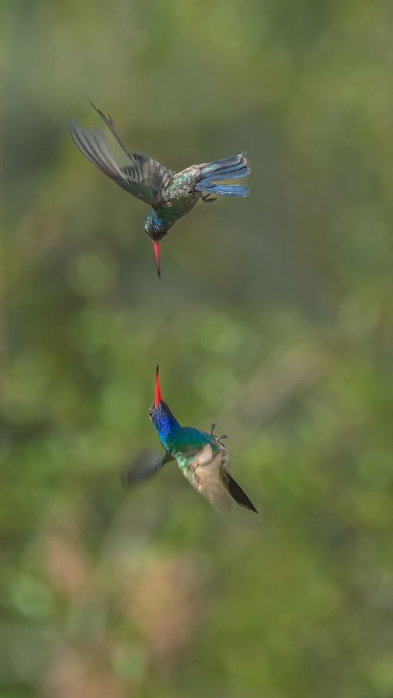 Photograph by Christabel Way