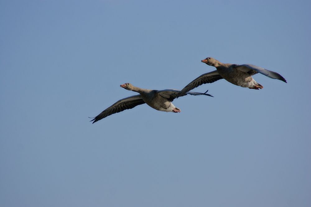Фотография автора Sergej Roor