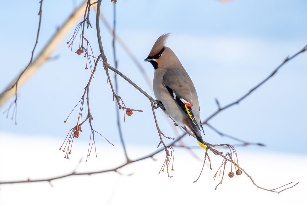 Photograph by Maria Pochikaeva