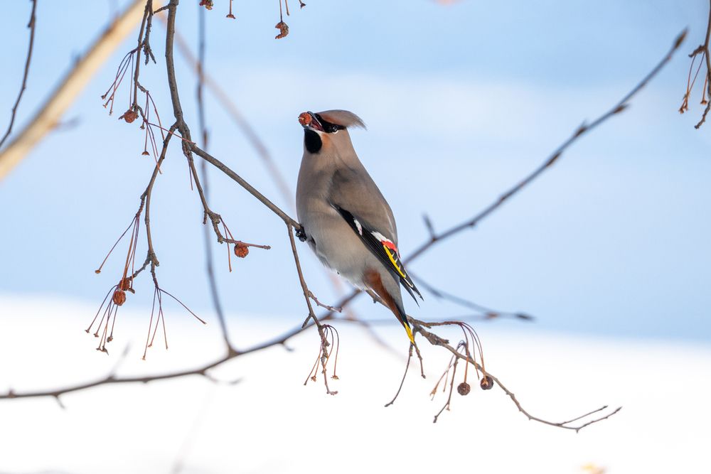 Photograph by Maria Pochikaeva