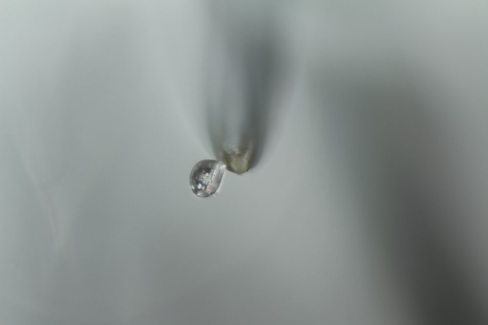 Фотография автора Анастасия Додрова