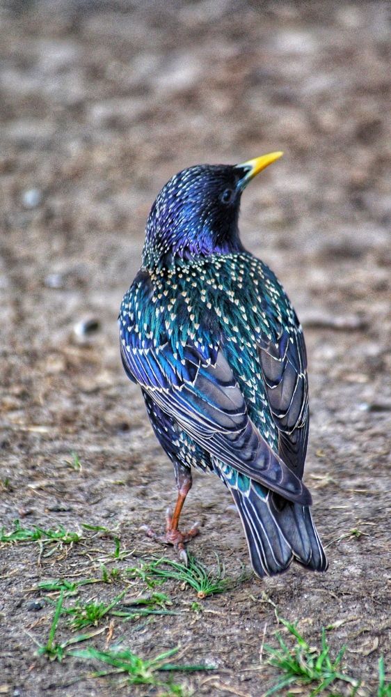 Photograph by Анна Дудко