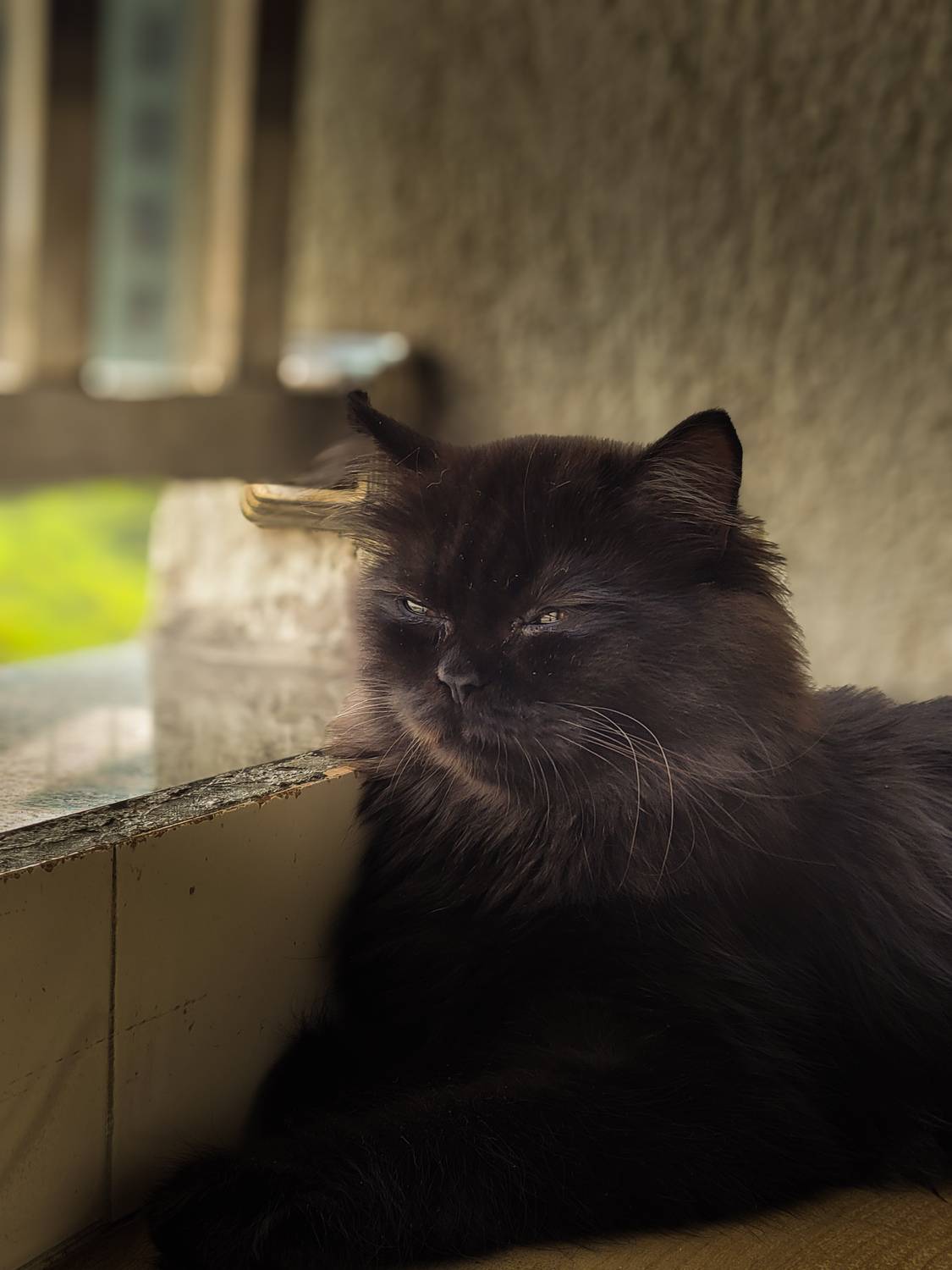 A Pause by the Window