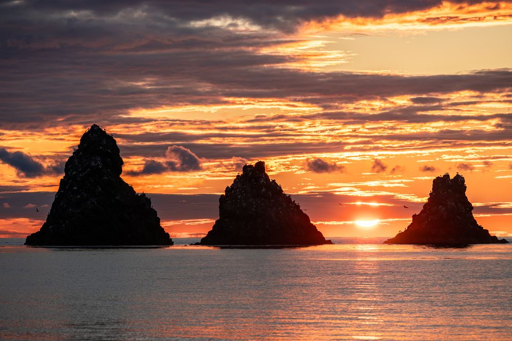 Photograph by Василиса Ногина