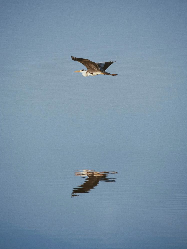 Photograph by Анна Любимова