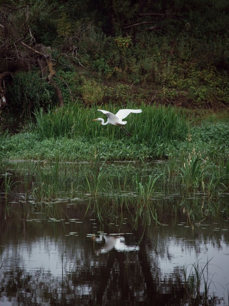 Photograph by Анна Любимова