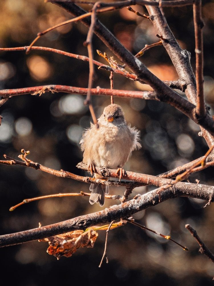 Photograph by Анна Любимова