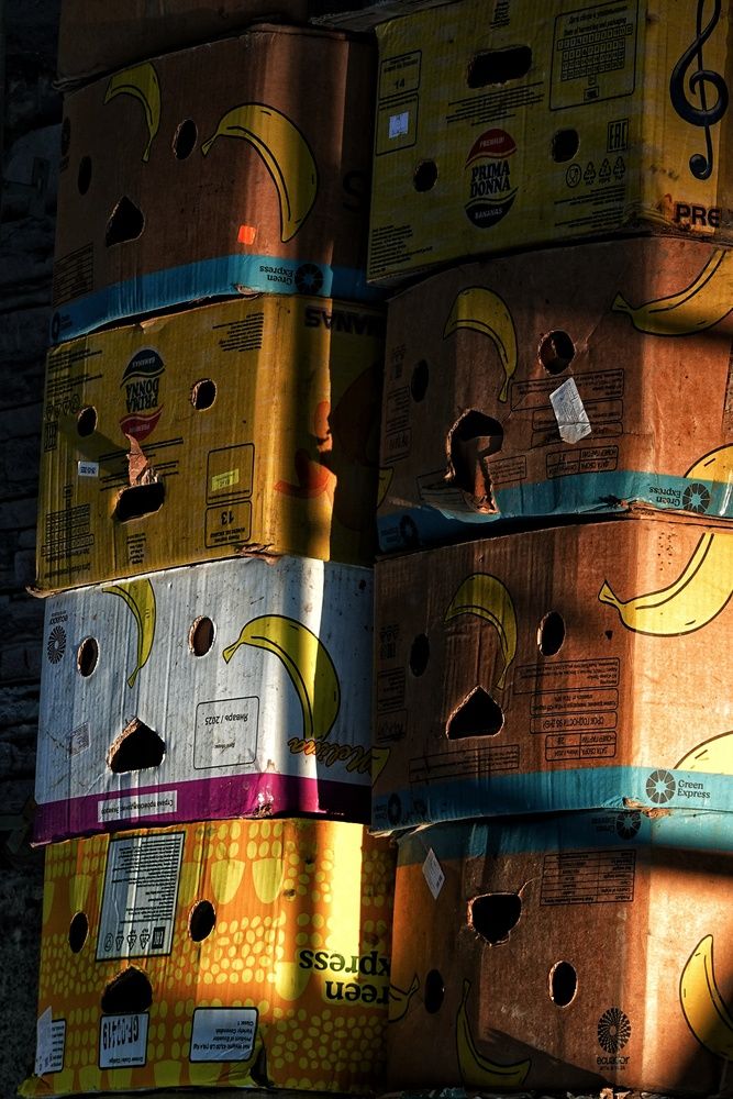 Photograph by Екатерина Першина