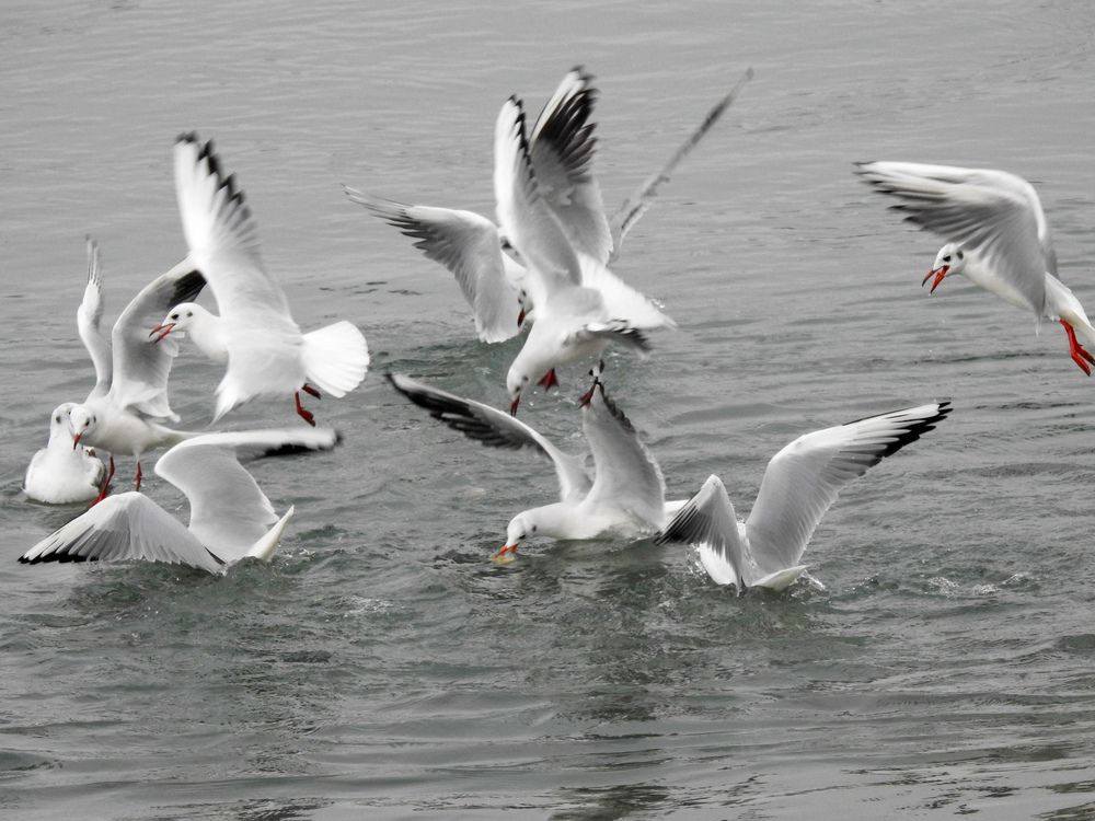 Photograph by Рустамбек Ахмадзода