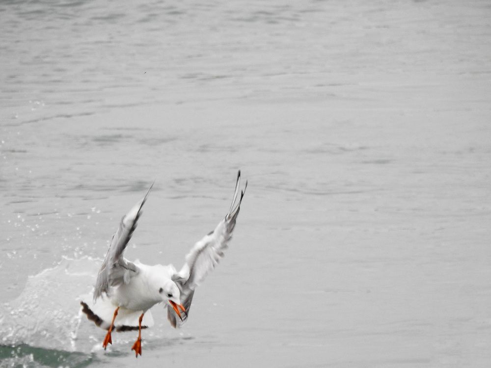 Photograph by Рустамбек Ахмадзода