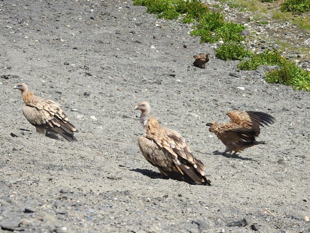 Photograph by Рустамбек Ахмадзода