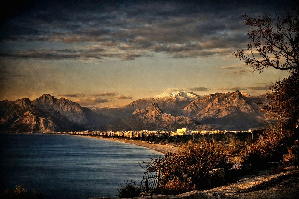 Photograph by Avi Behar