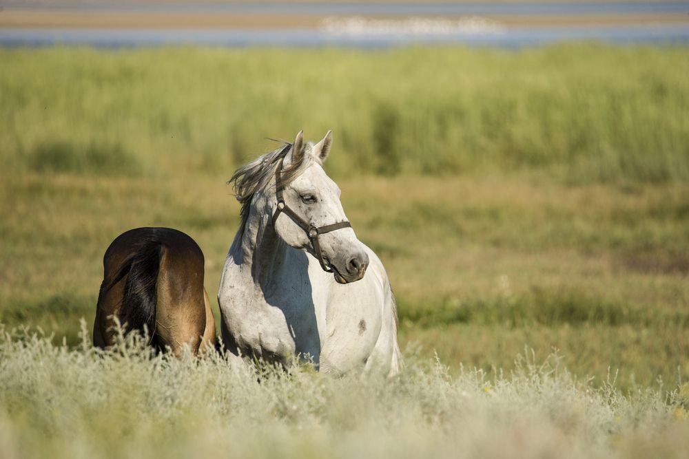 Фотография автора наталья залогина