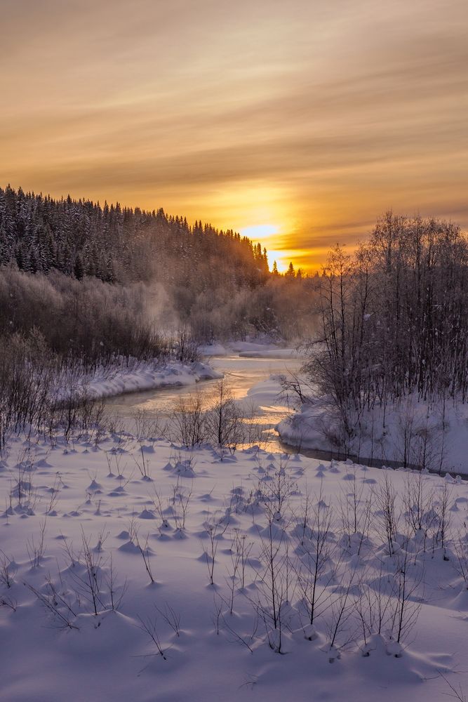 Утренняя тишина