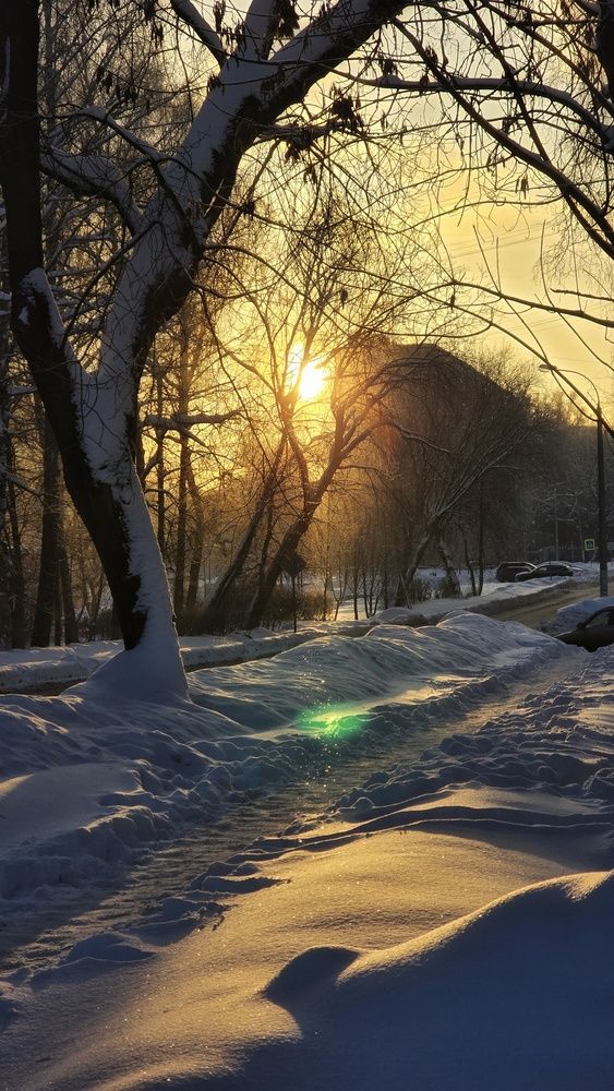 Photograph by Анна Корнейко