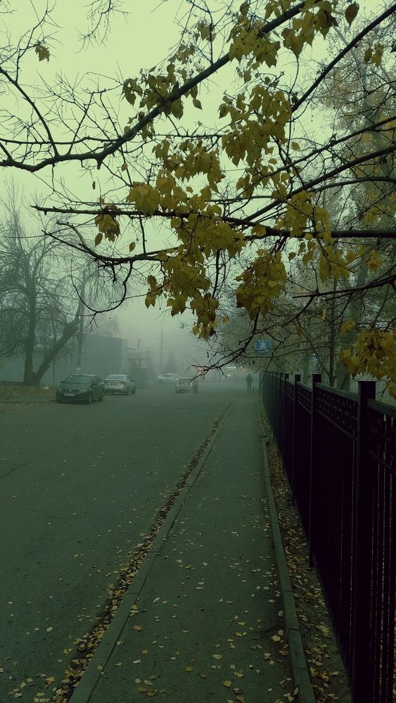 Photograph by Александр Лопатин