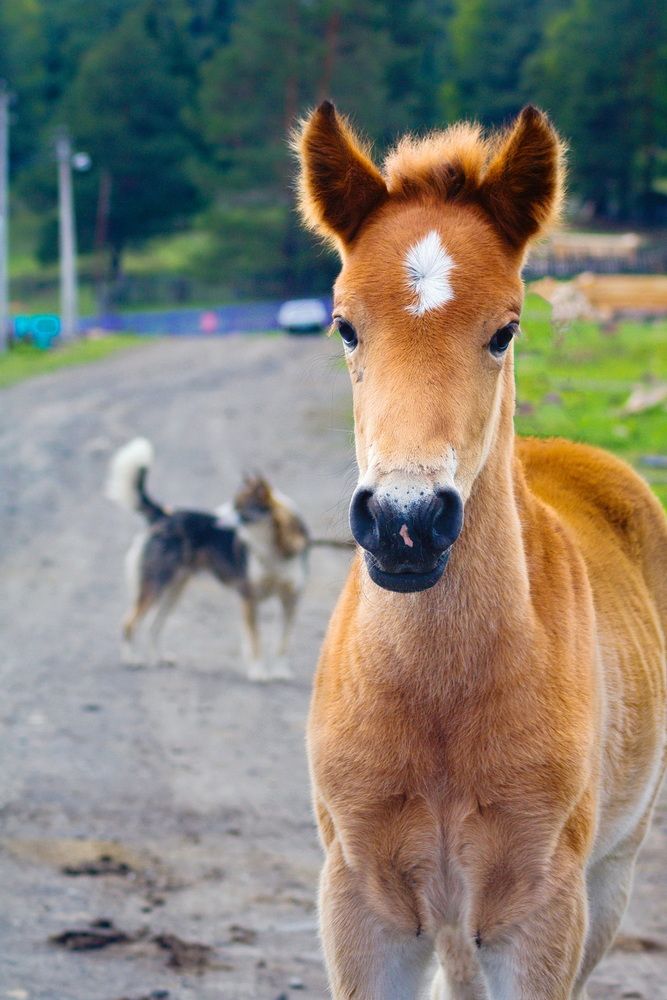 Photograph by Владимир Акиньшин