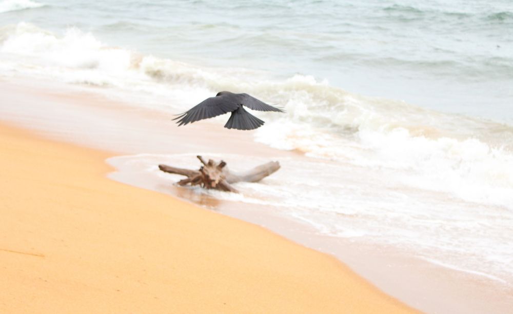 Photograph by Chanika Dulnitha