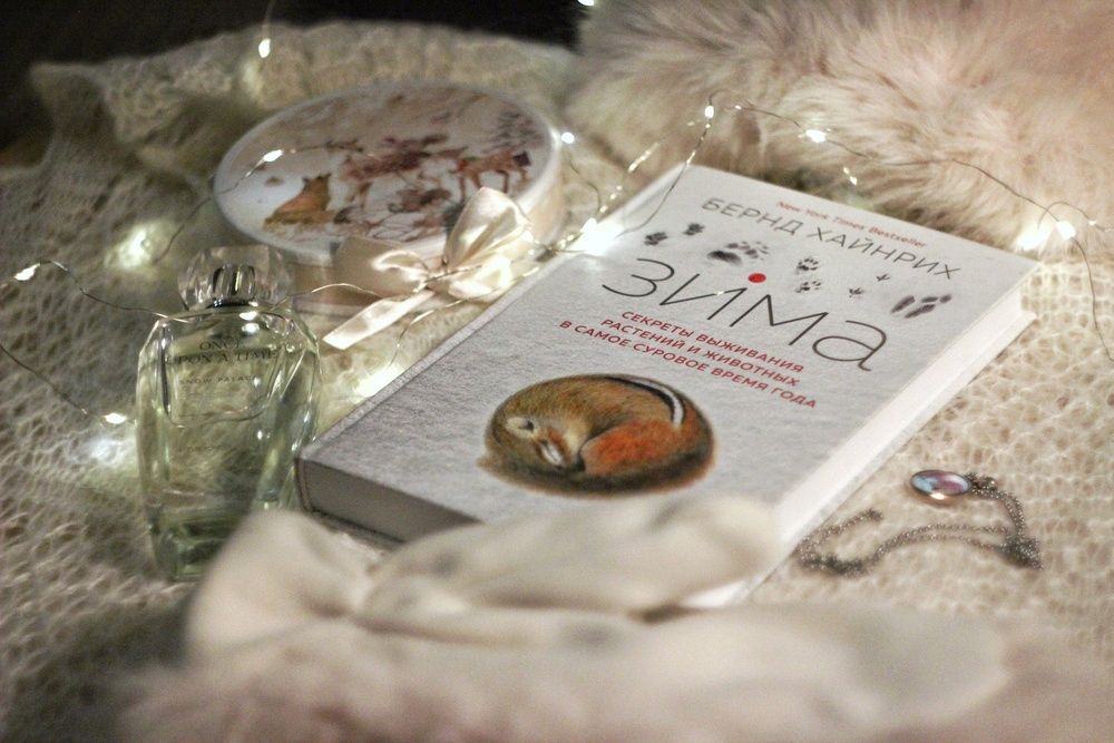 Photograph by Екатерина Солохина