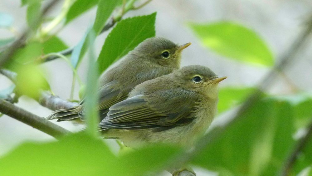 Photograph by Егор Чинарев
