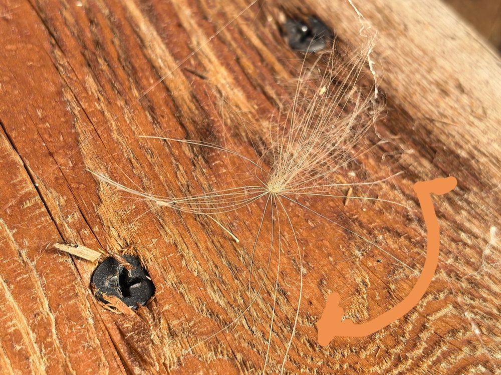 Фотография автора Елена Охапкина