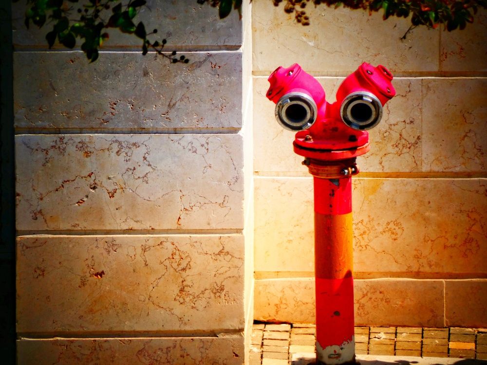 Photograph by Марина