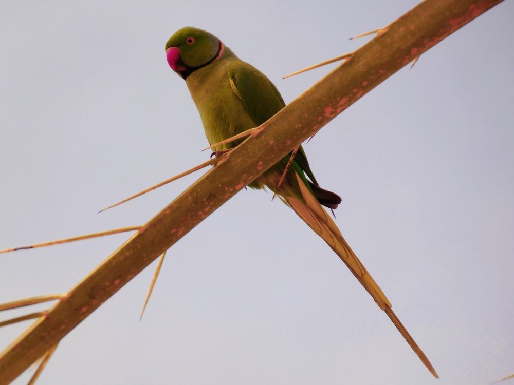 Photograph by Марина