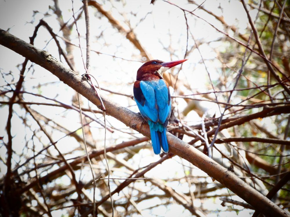 Photograph by Марина