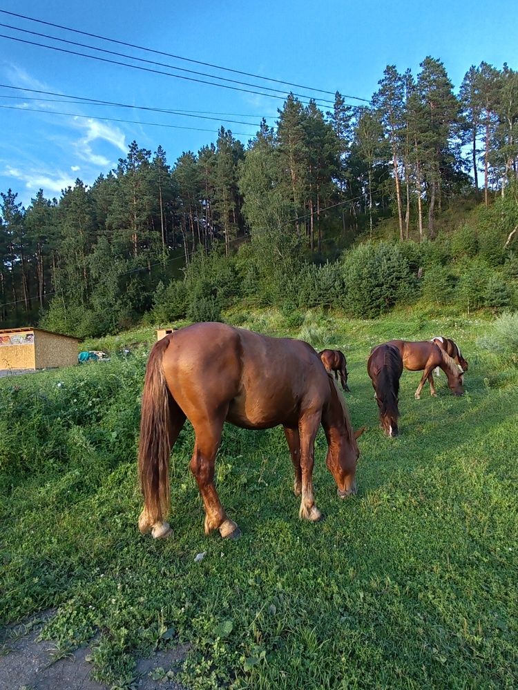 Photograph by Наталья Круглова
