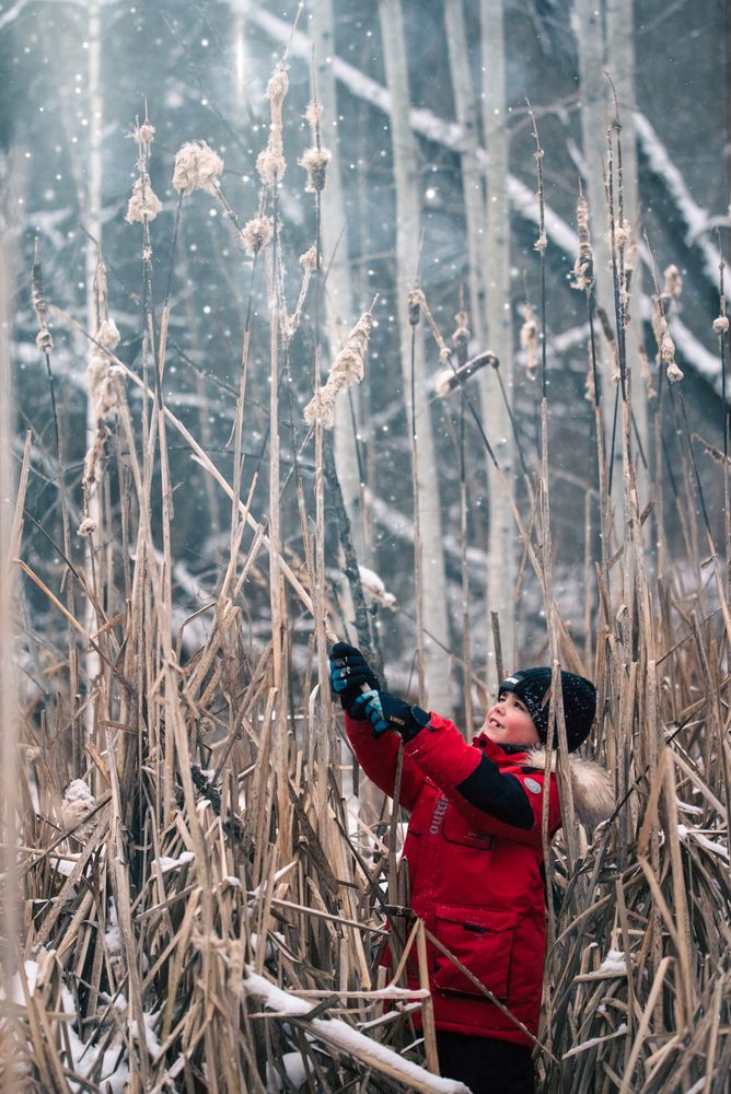 Фотография автора наталья залогина