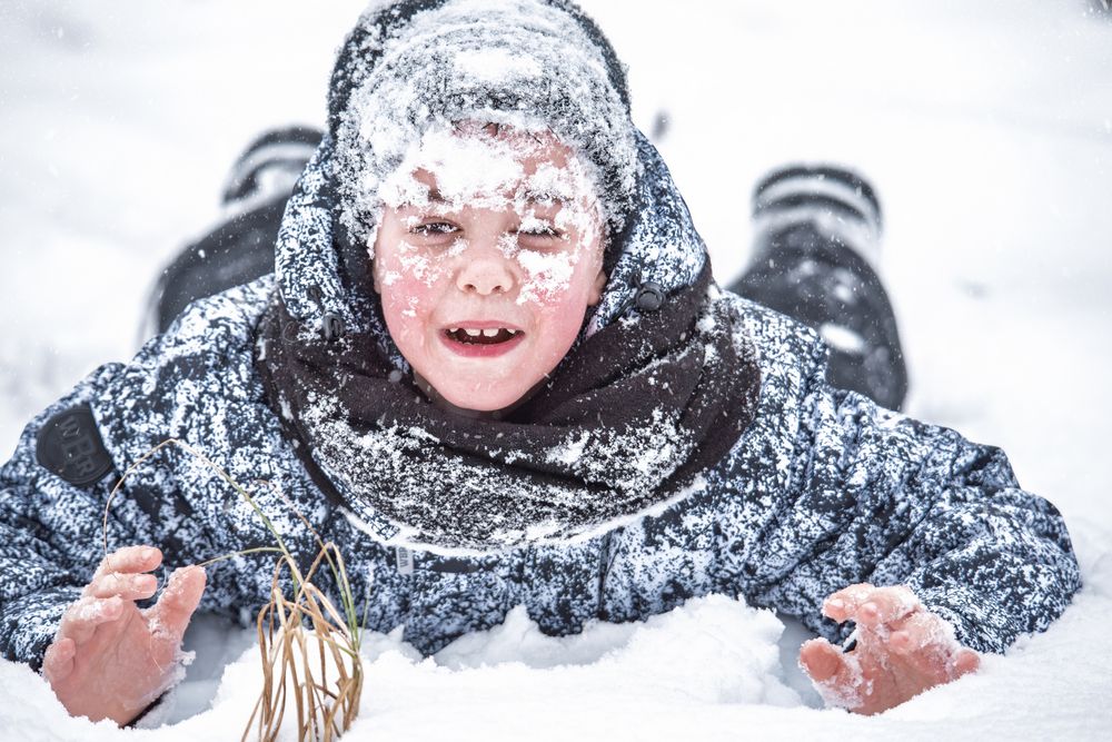 Фотография автора наталья залогина