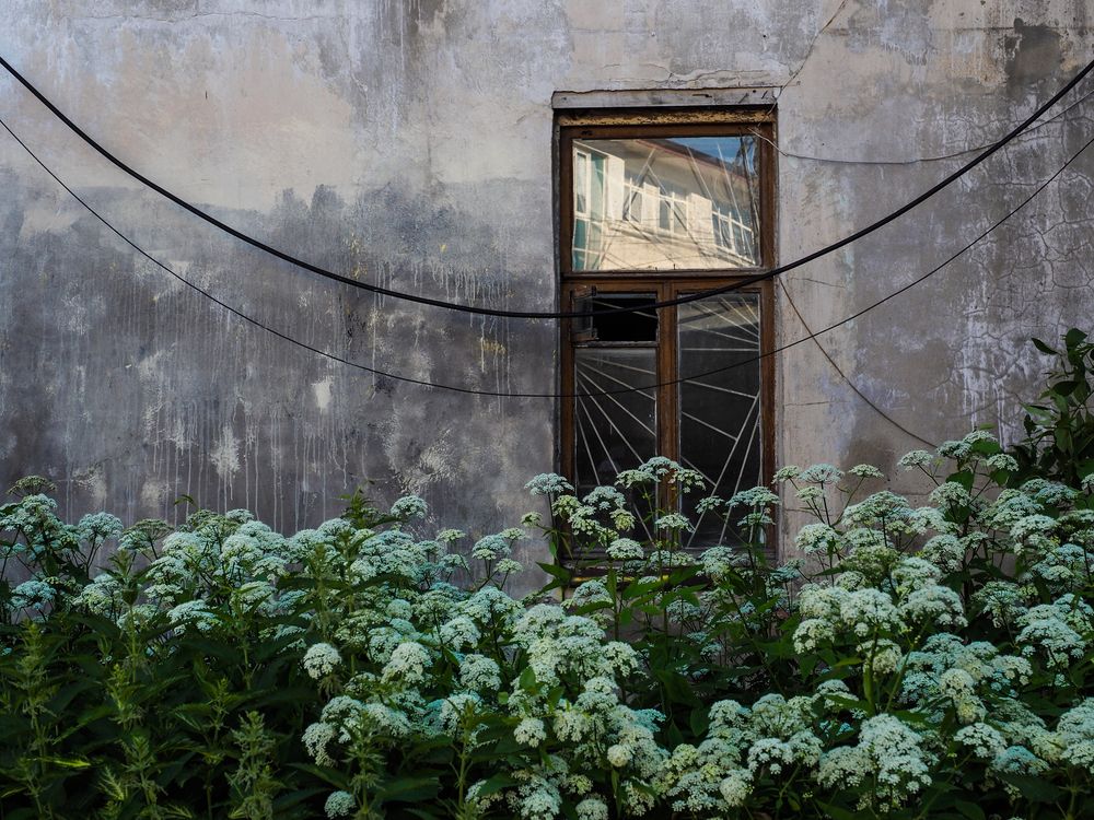 Photograph by Сергей Гаврилов